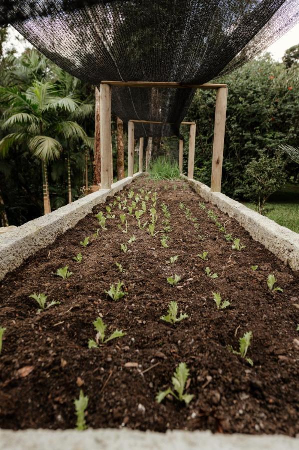 Chacara Paradiso Curitiba Ngoại thất bức ảnh